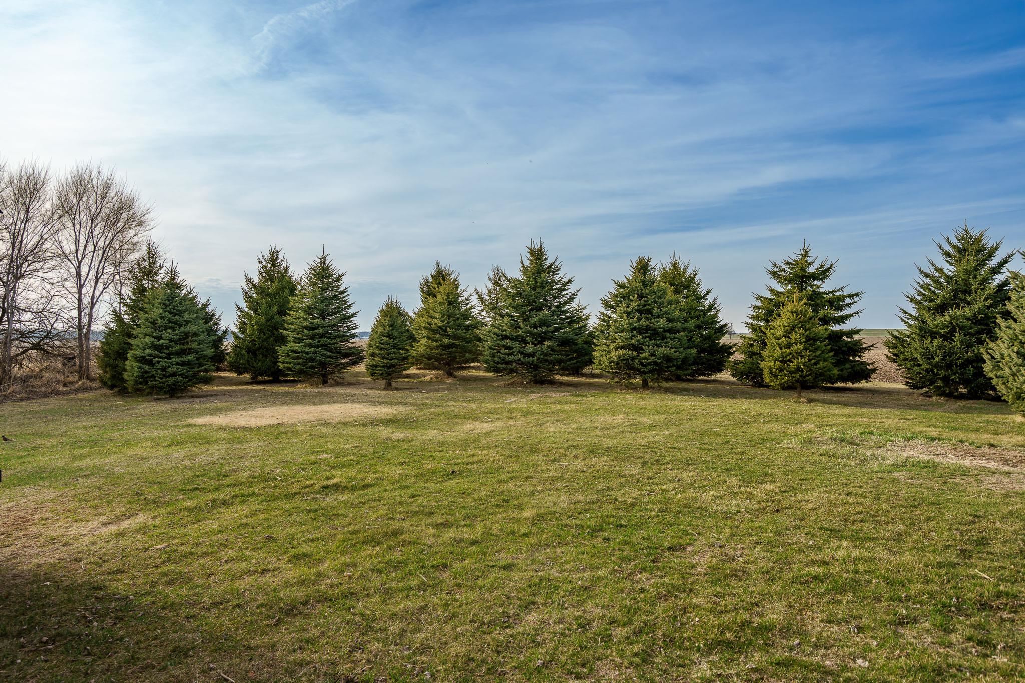 10182 North Adeline Road German Valley, IL 61039 - Photo 6 of 42