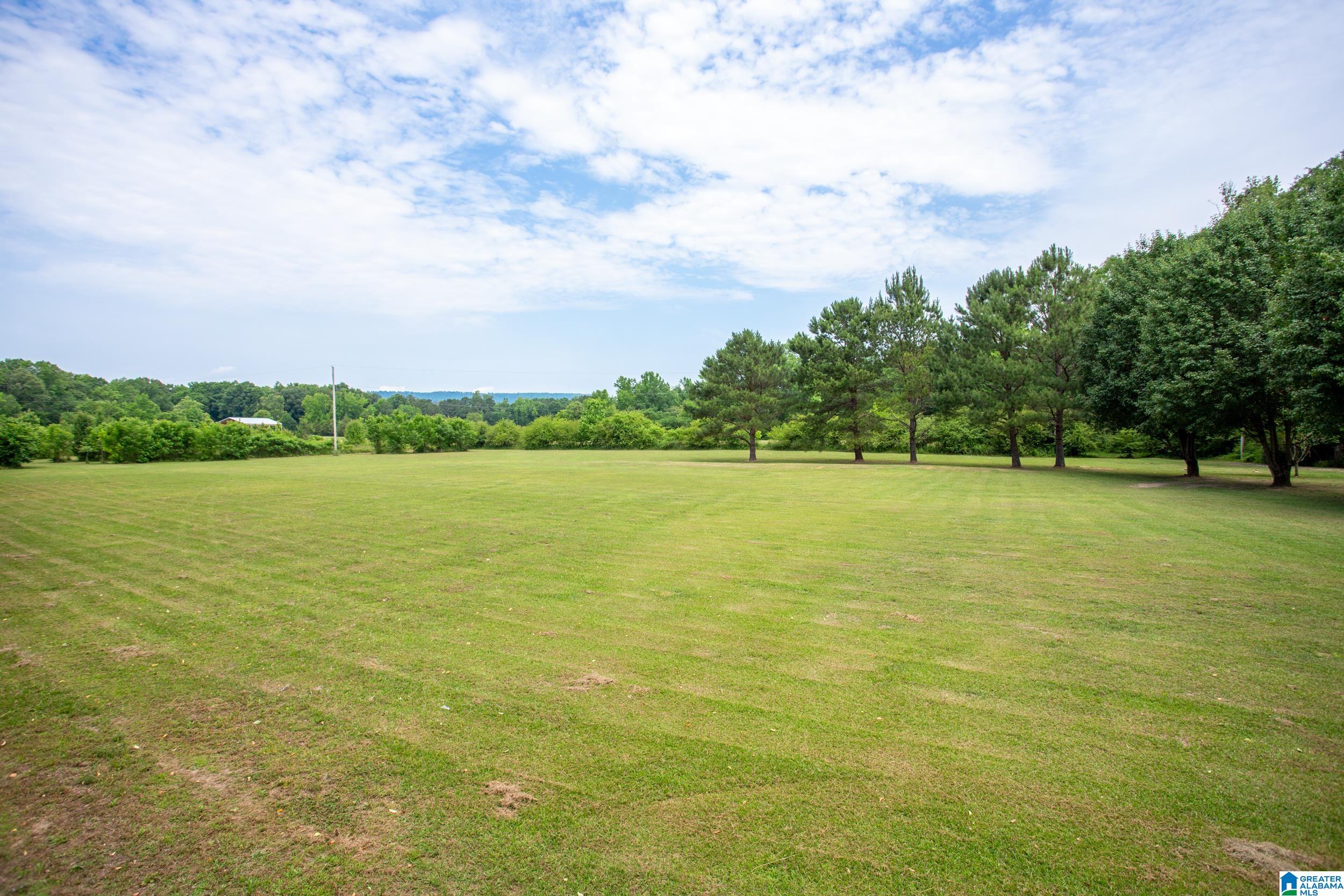 544 Fann Road Steele, AL 35987 - Photo 40 of 84