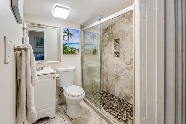 a bathroom with a shower and a toilet