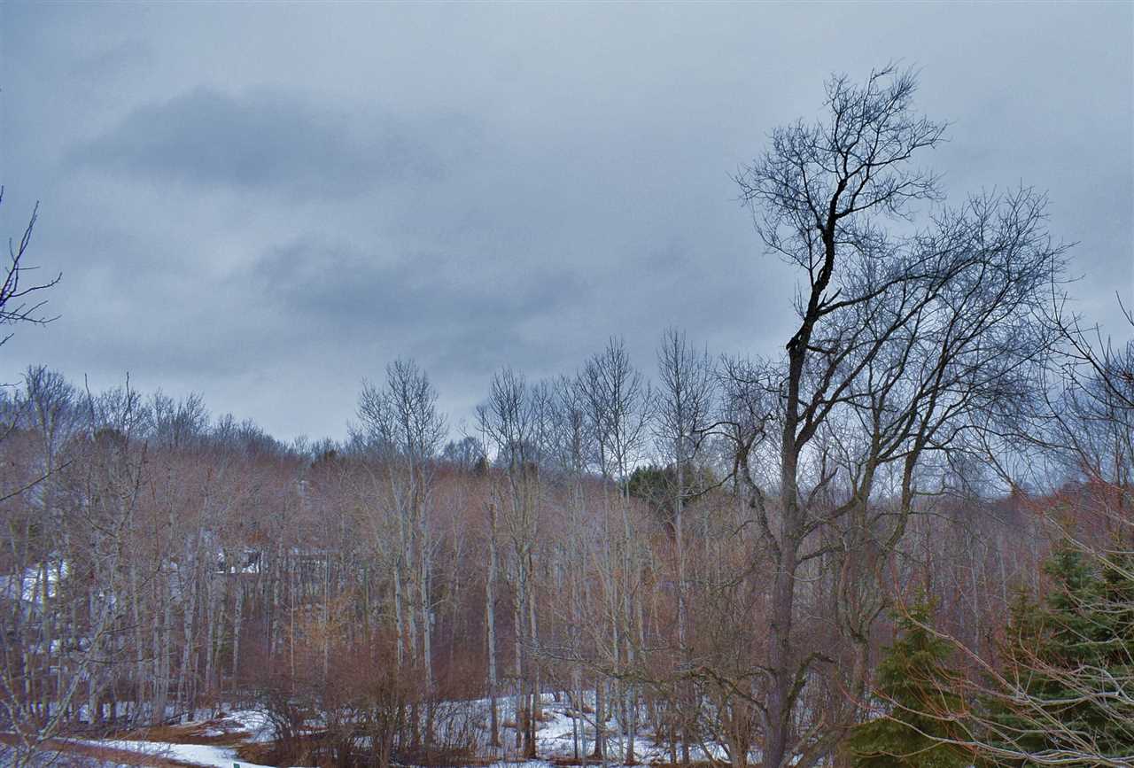 5214 Cedar Valley Road Traverse City, MI 49684 - Photo 45 of 47 1872912-44.JPG