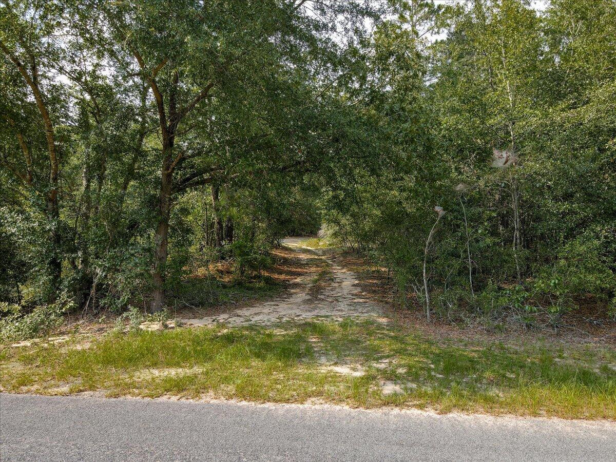 0 Millers Pond Road, Unit 4 Salley, SC 29137 - Photo 11 of 18