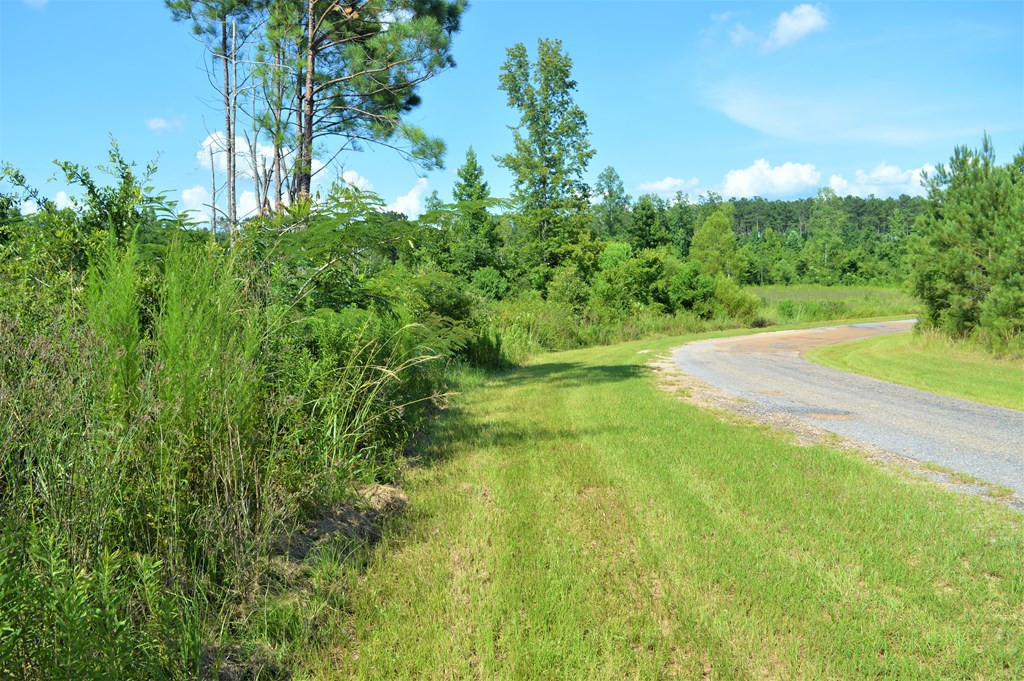 ... Bahalia Road Northeast Wesson, MS 39191 - Photo 3 of 8 Photo 3