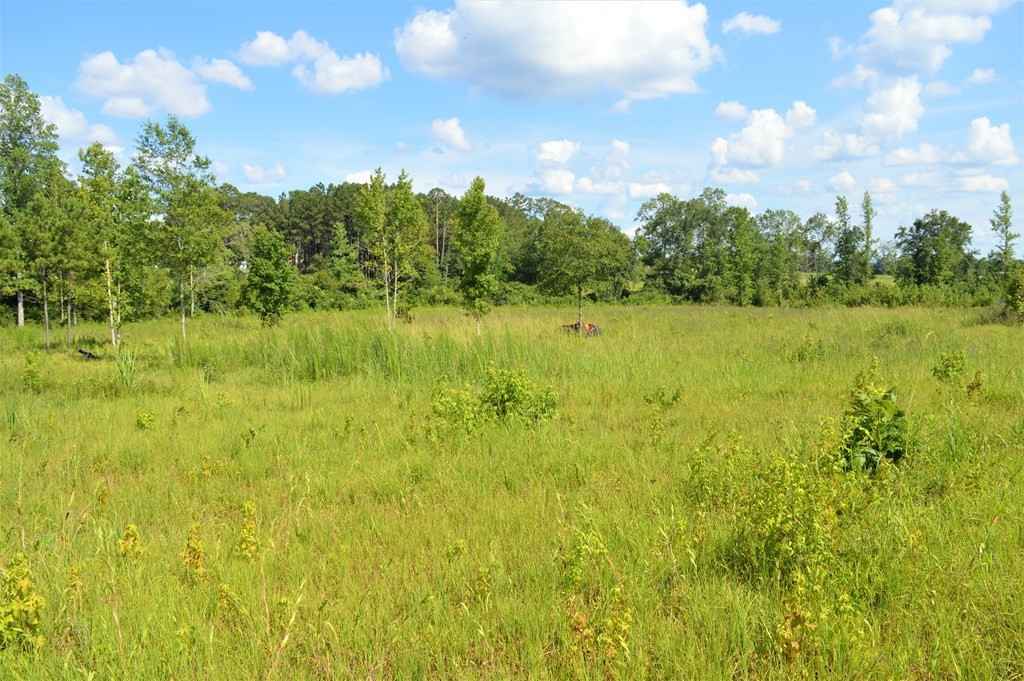 ... Bahalia Road Northeast Wesson, MS 39191 - Photo 8 of 8 Photo 8