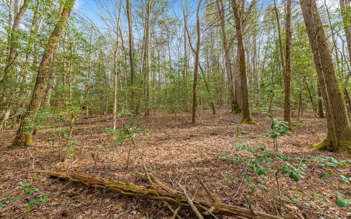39 Hemlock Trail Blue Ridge, GA 30513 - Photo 10 of 10 Additional View