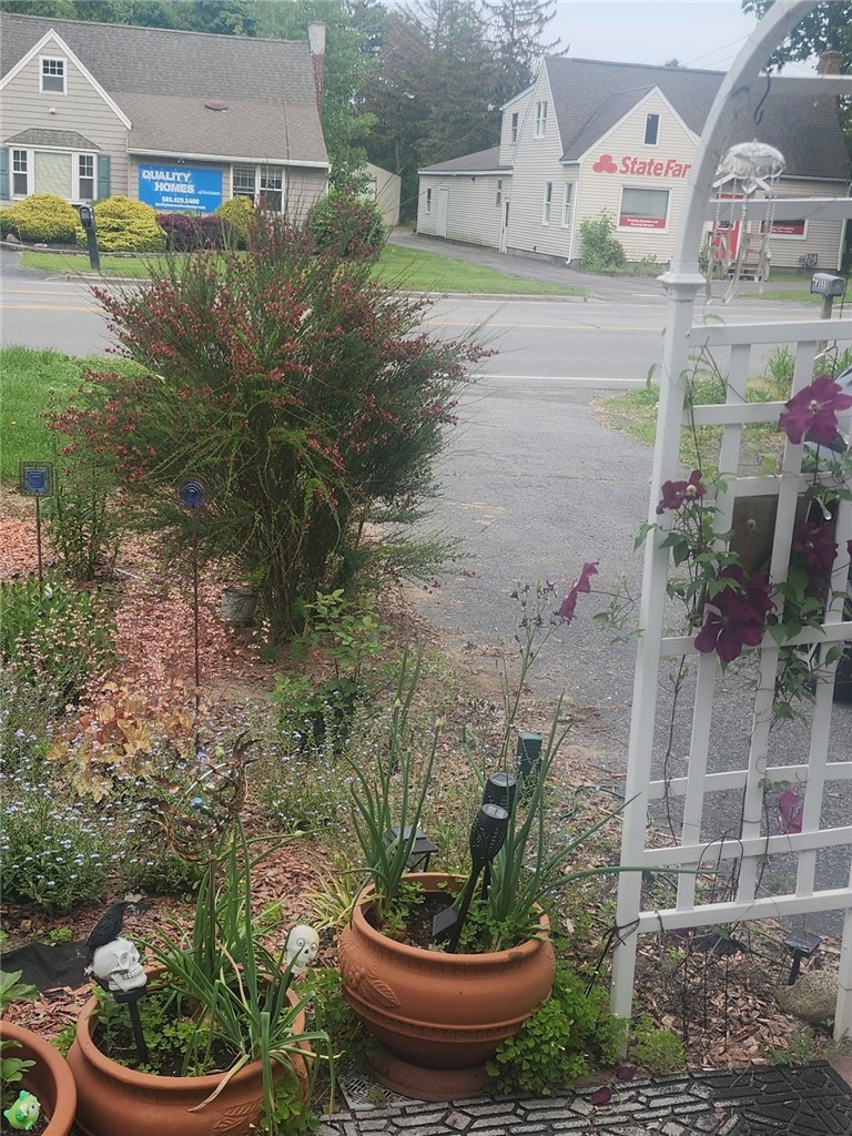 555 Elmgrove Road Gates, NY 14606 - Photo 26 of 29 Front Garden in the Summer