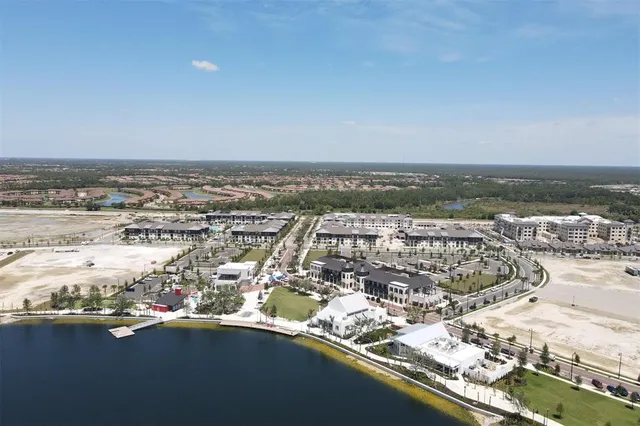 a view of a yard with plants and trees