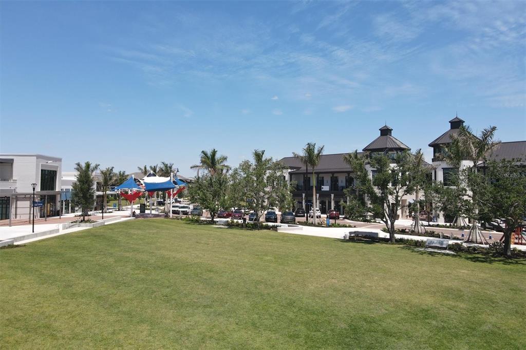 17435 Jadestone Court Venice, FL 34293 - Photo 55 of 68 a view of a swimming pool with lawn chairs and a big yard