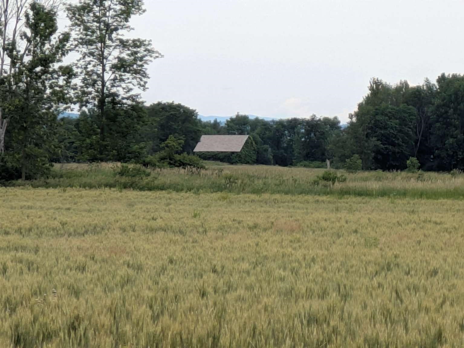 104 Old Stonehouse Road Addison, VT 05491 - Photo 8 of 8