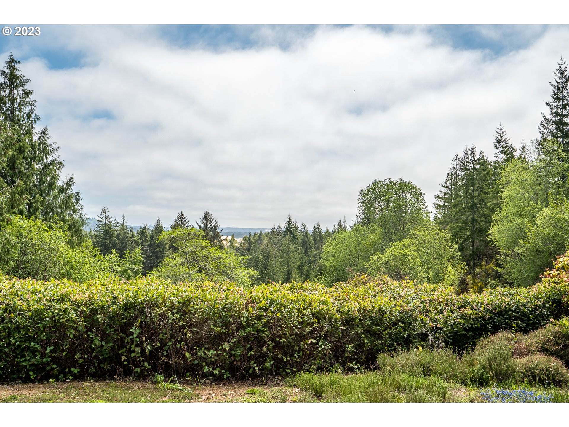 88647 Collard Lake Road Florence, OR 97439 - Photo 34 of 45 View