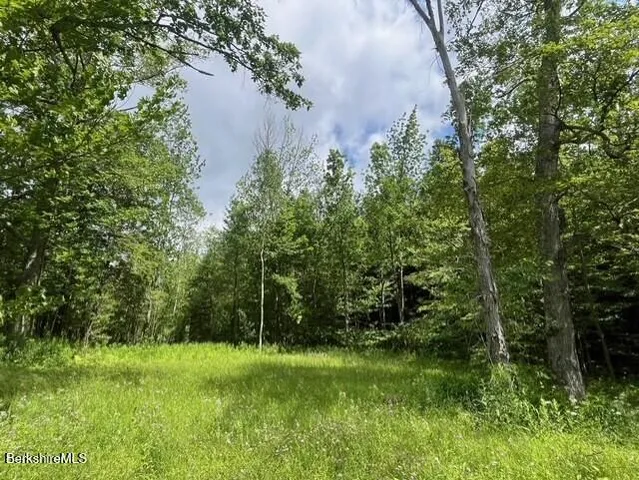 a room with furniture and a gate