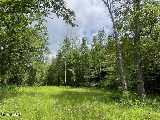 477 Mohawk Trail Florida, MA 01343 - Photo 8 of 9 a view of a lush green space