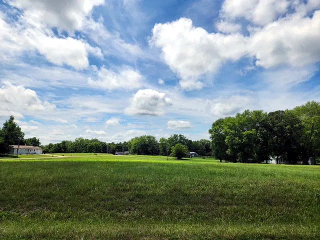 a view of grassy field with trees