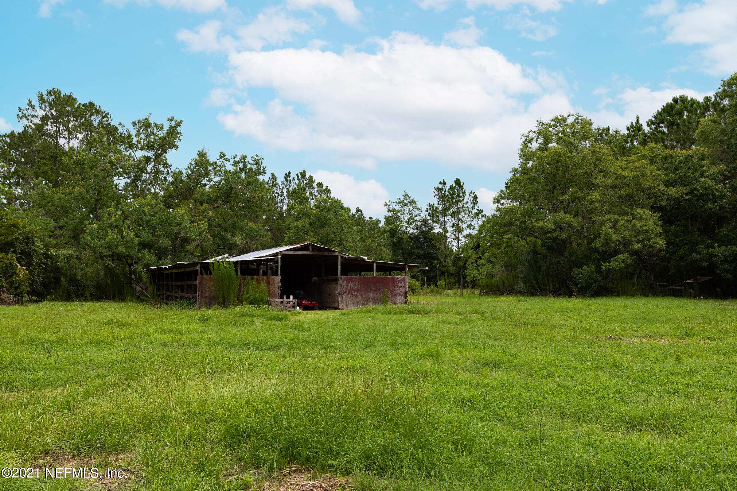 5950 Trawick Road Keystone Heights, FL 32656 - Photo 14 of 15 Backyard