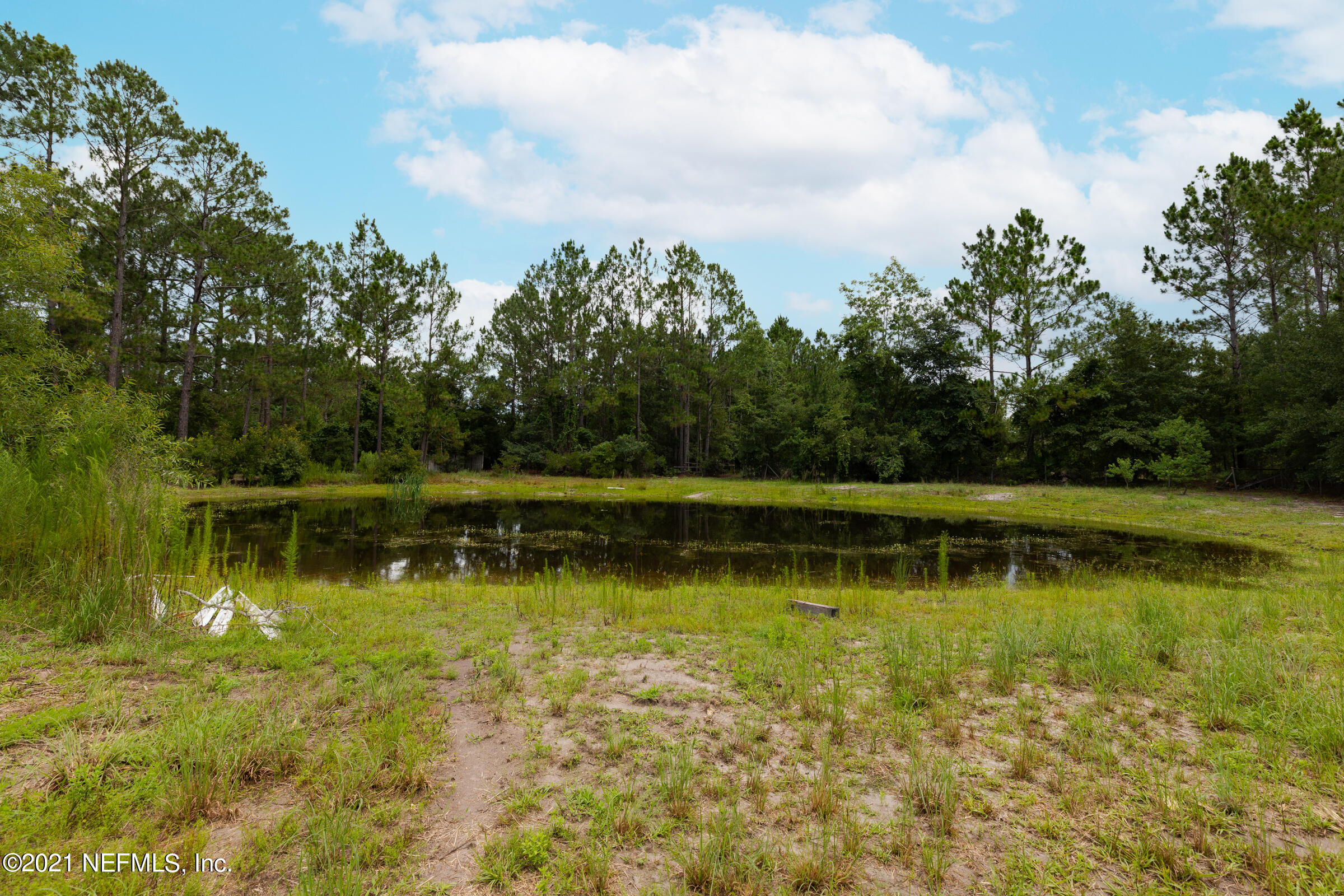 5950 Trawick Road Keystone Heights, FL 32656 - Photo 15 of 15 Backyard
