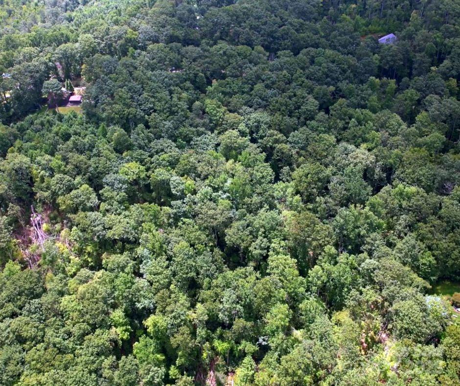 13 Old Mill Road Hendersonville, NC 28792 - Photo 2 of 6 an aerial view of residential house with outdoor space and trees all around