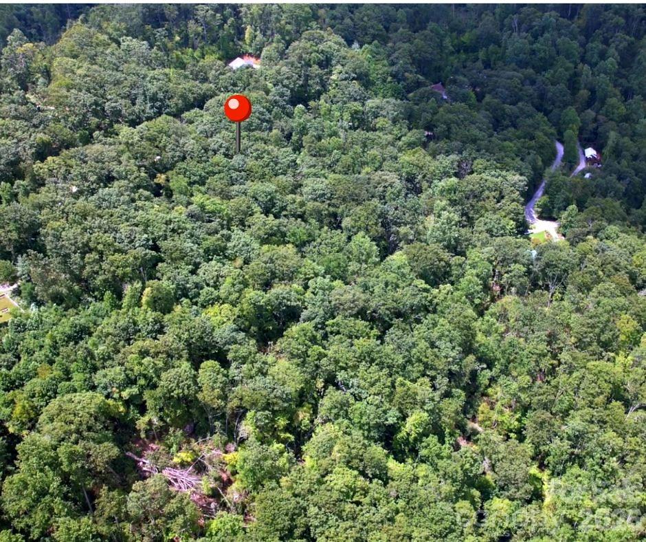 13 Old Mill Road Hendersonville, NC 28792 - Photo 2 of 6