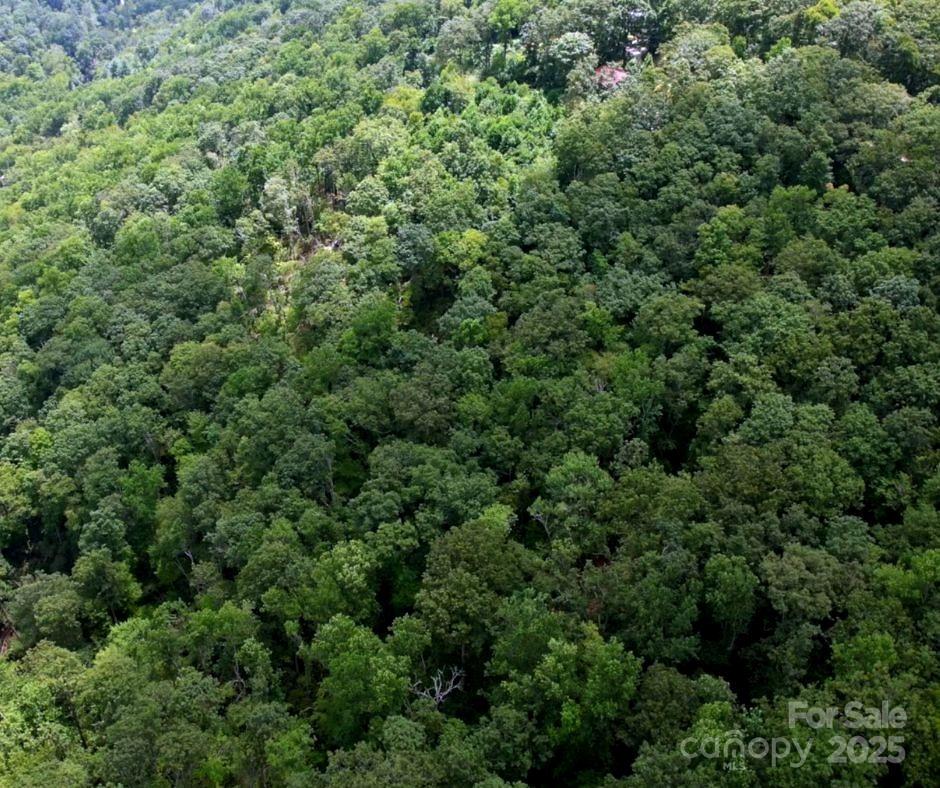 13 Old Mill Road Hendersonville, NC 28792 - Photo 4 of 6 an aerial view of a house with a yard