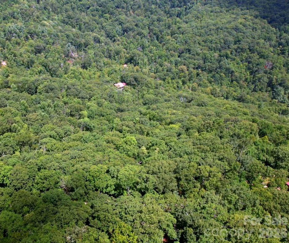 13 Old Mill Road Hendersonville, NC 28792 - Photo 5 of 6