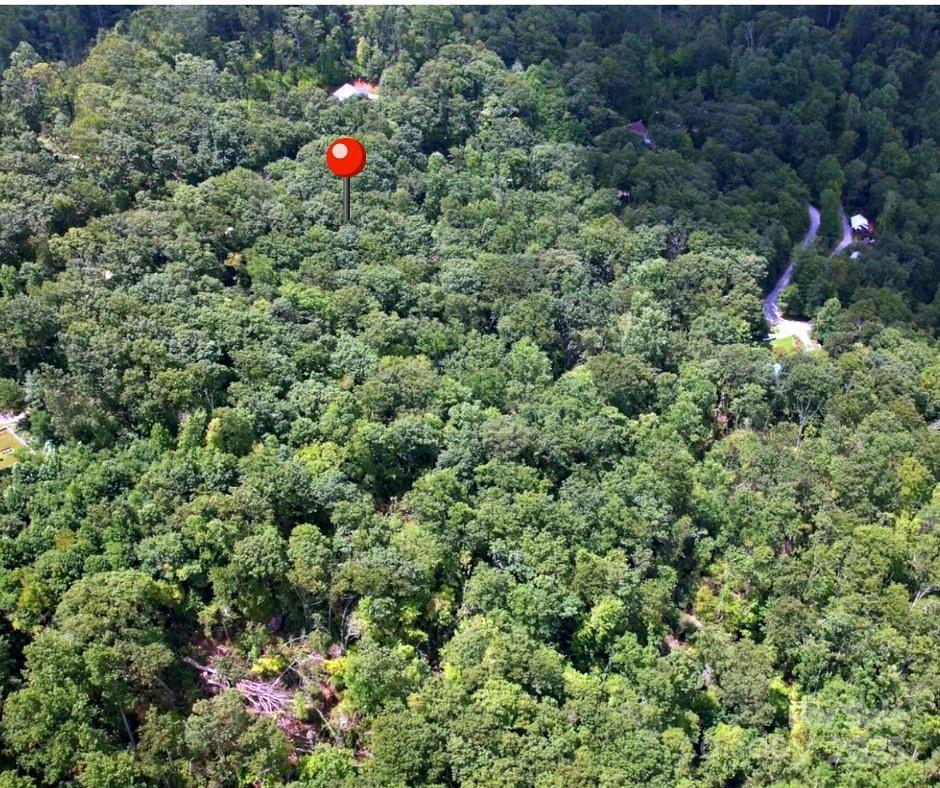 13 Old Mill Road Hendersonville, NC 28792 - Photo 5 of 6 a view of a tree in a field