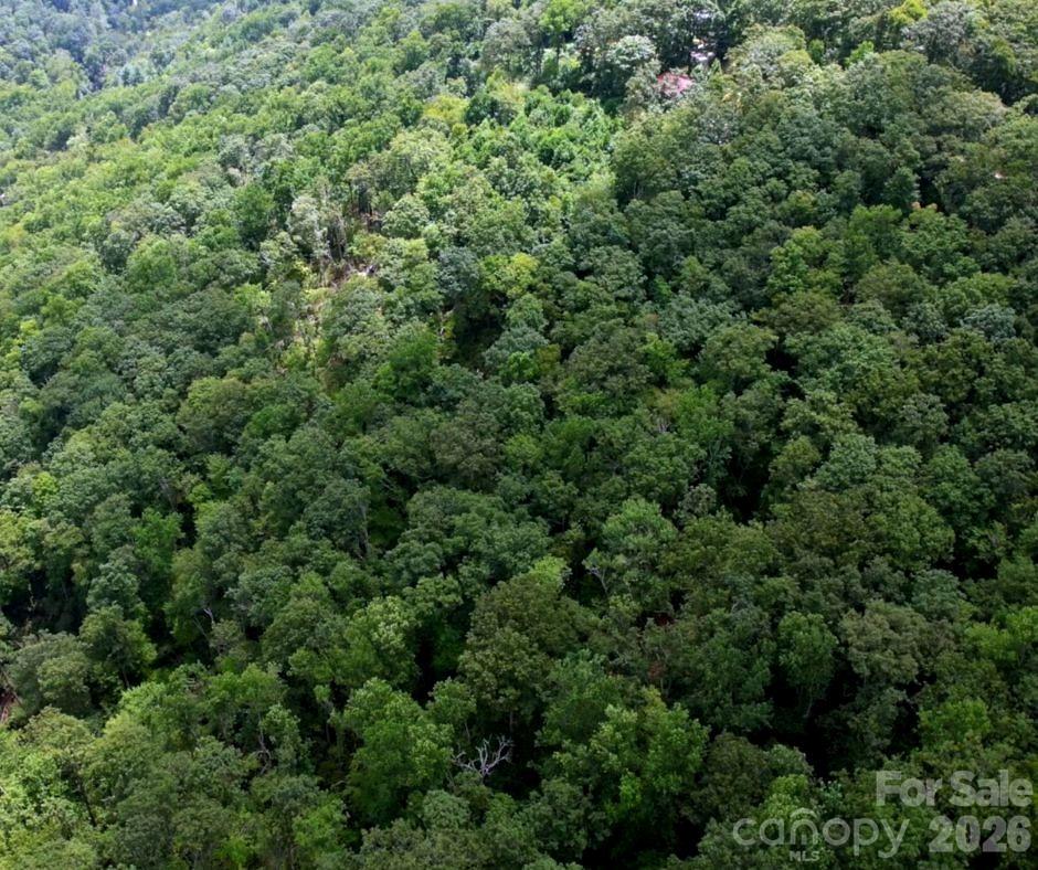 13 Old Mill Road Hendersonville, NC 28792 - Photo 6 of 6