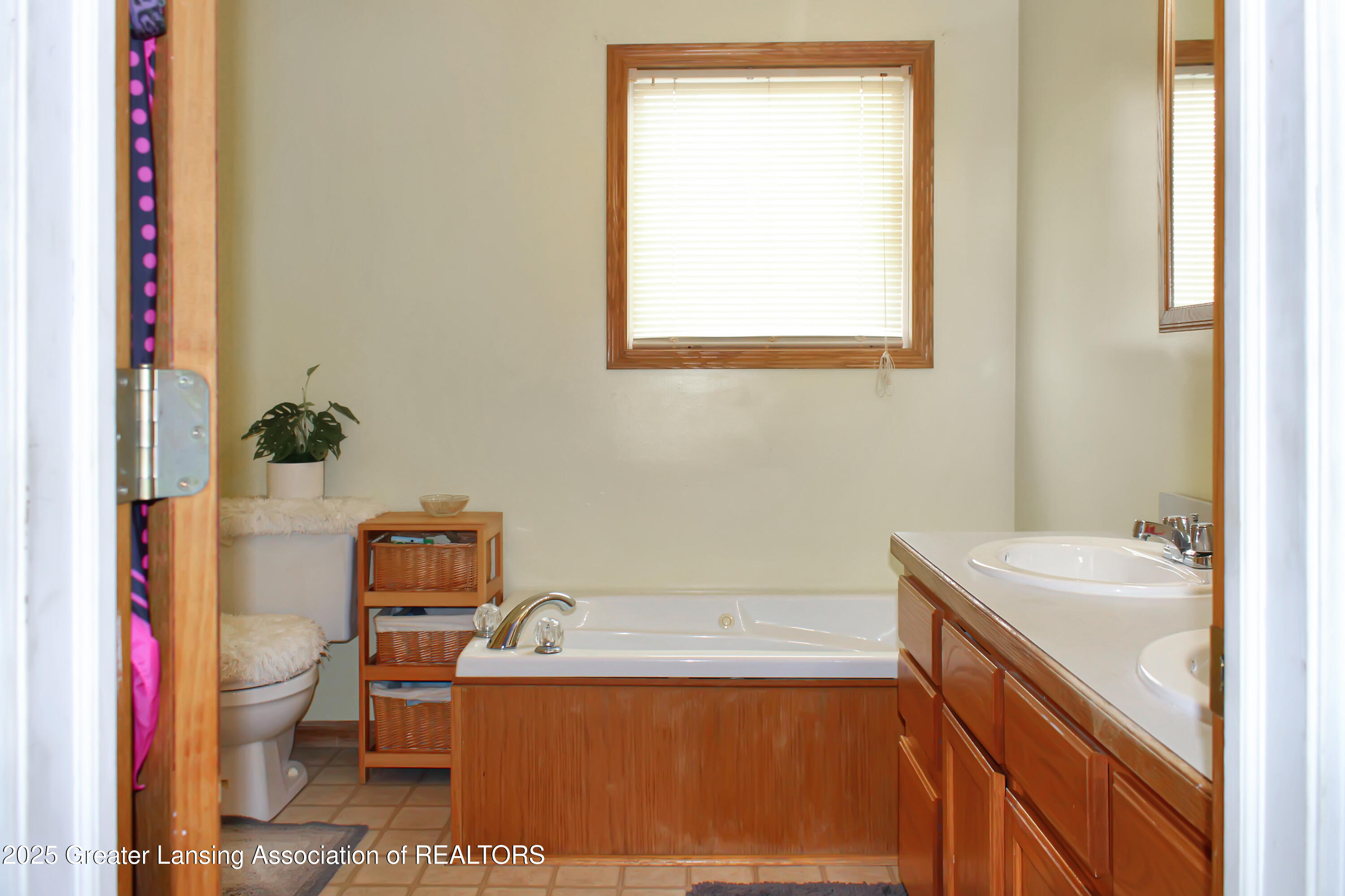 10048 Roblyn Circle Dimondale, MI 48821 - Photo 24 of 39 Primary Bath