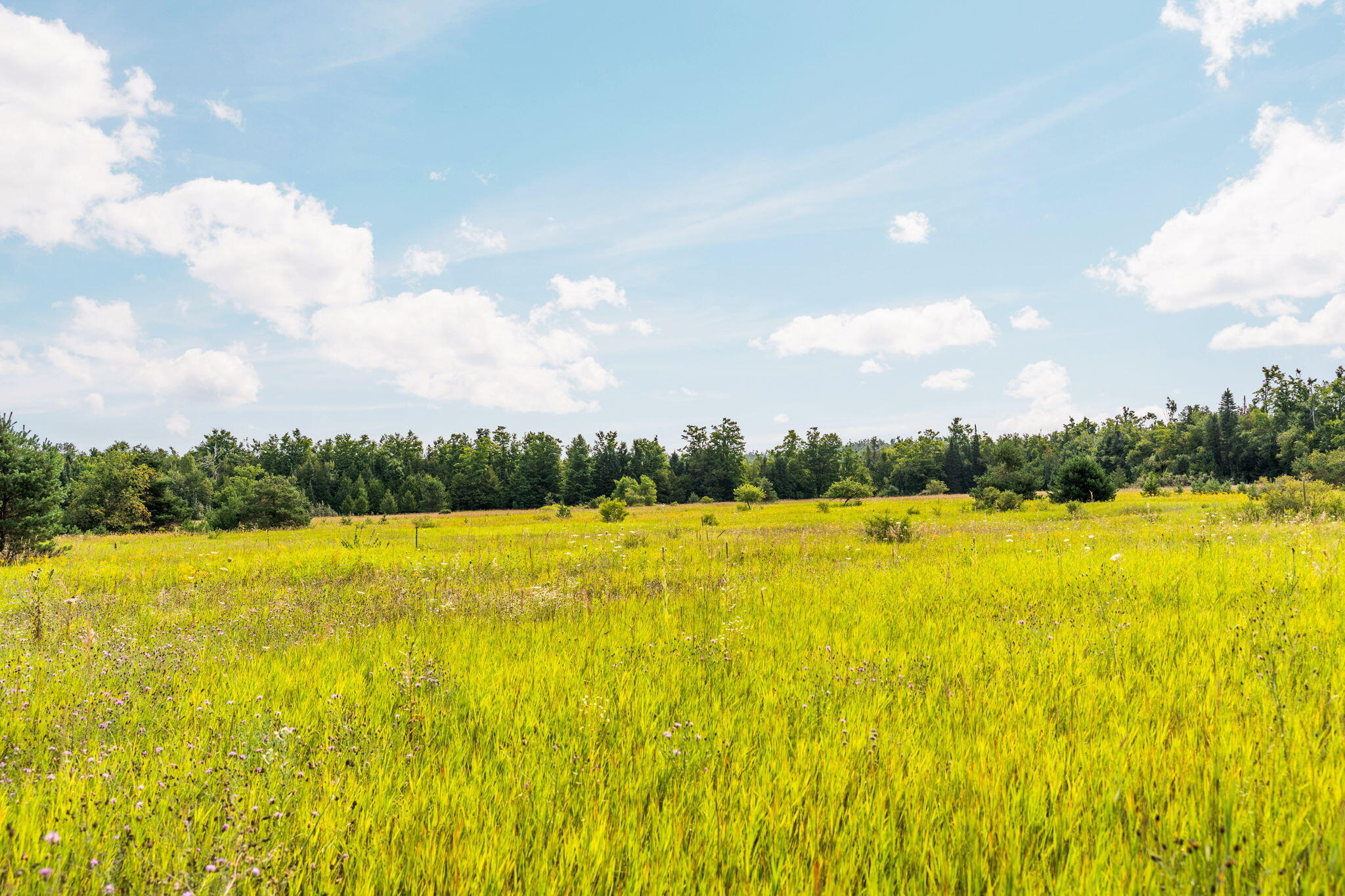 871 Sparr Road Gaylord, MI 49735 - Photo 45 of 61 Gallery Image 45