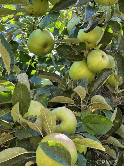 0 Old Creek Road Cayucos, CA 93430 - Photo 12 of 19 a bathroom with a sink mirror and toilet