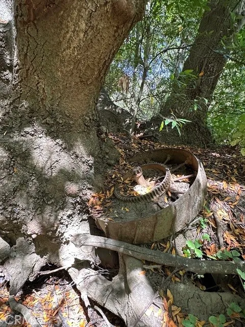 0 Old Creek Road Cayucos, CA 93430 - Photo 14 of 19 a view of a tree in a yard
