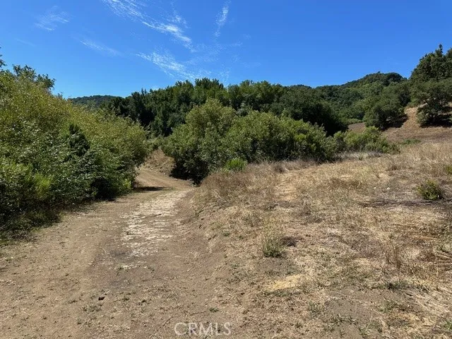 0 Old Creek Road Cayucos, CA 93430 - Photo 6 of 19 a view of a dry yard with trees in the background