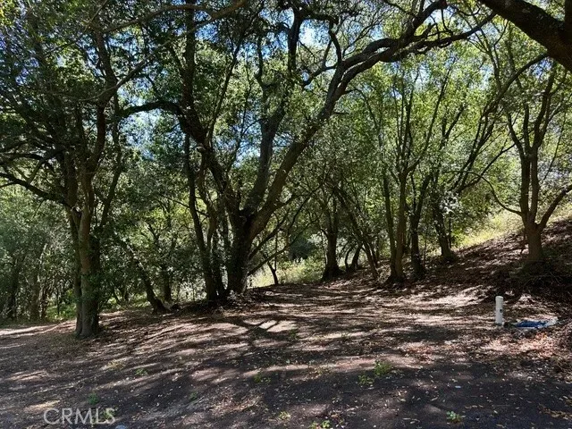 a view of outdoor space with tree
