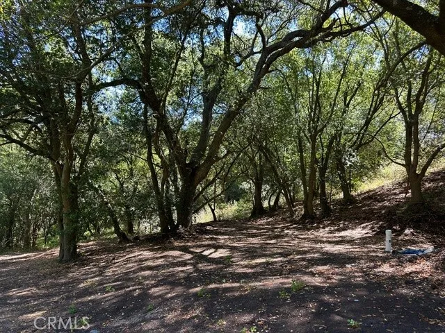 0 Old Creek Road Cayucos, CA 93430 - Photo 8 of 19 a view of outdoor space with tree