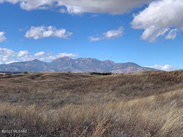 180 Santa Rita Road, Unit 6 Sonoita, AZ 85637 - Photo 5 of 19