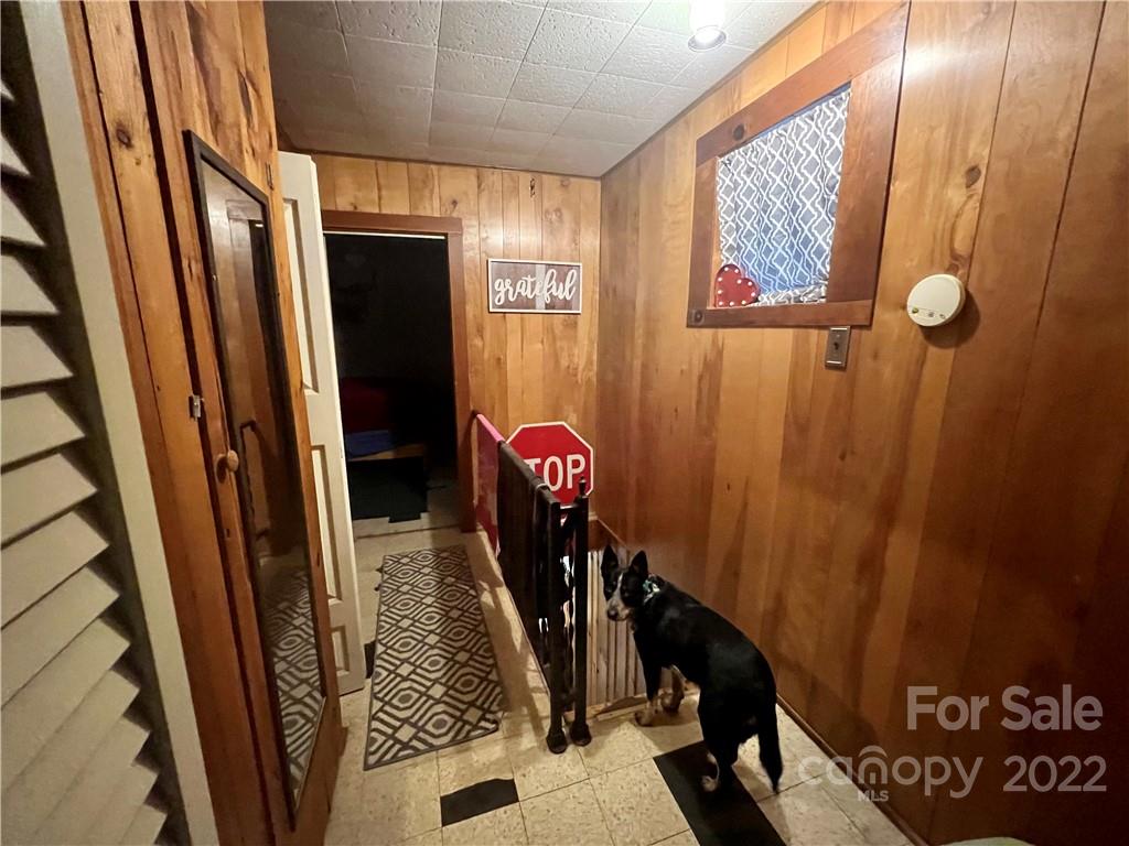 305 Lake Sega Road Brevard, NC 28712 - Photo 18 of 42 Gallery Image 18