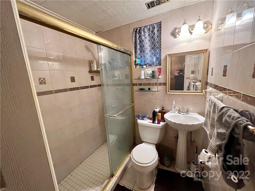 305 Lake Sega Road Brevard, NC 28712 - Photo 20 of 42 Gallery Image 20