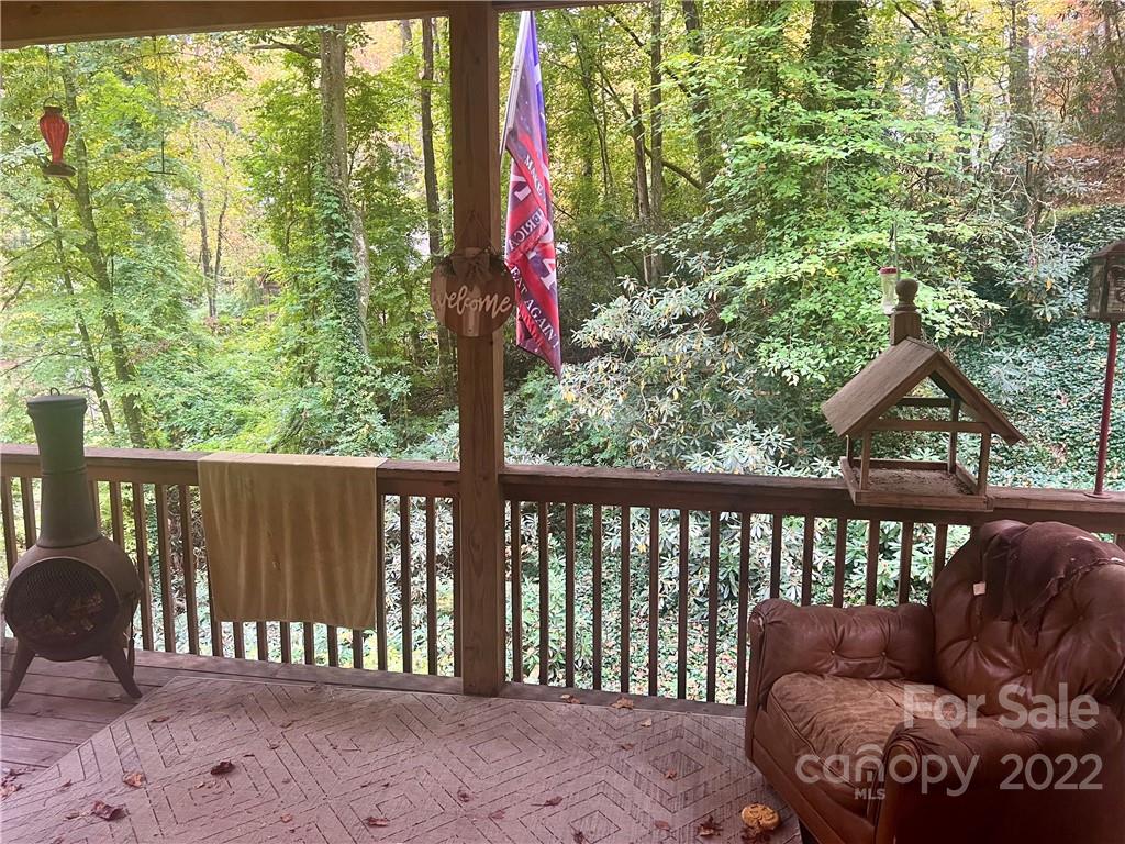 305 Lake Sega Road Brevard, NC 28712 - Photo 34 of 42 Gallery Image 34