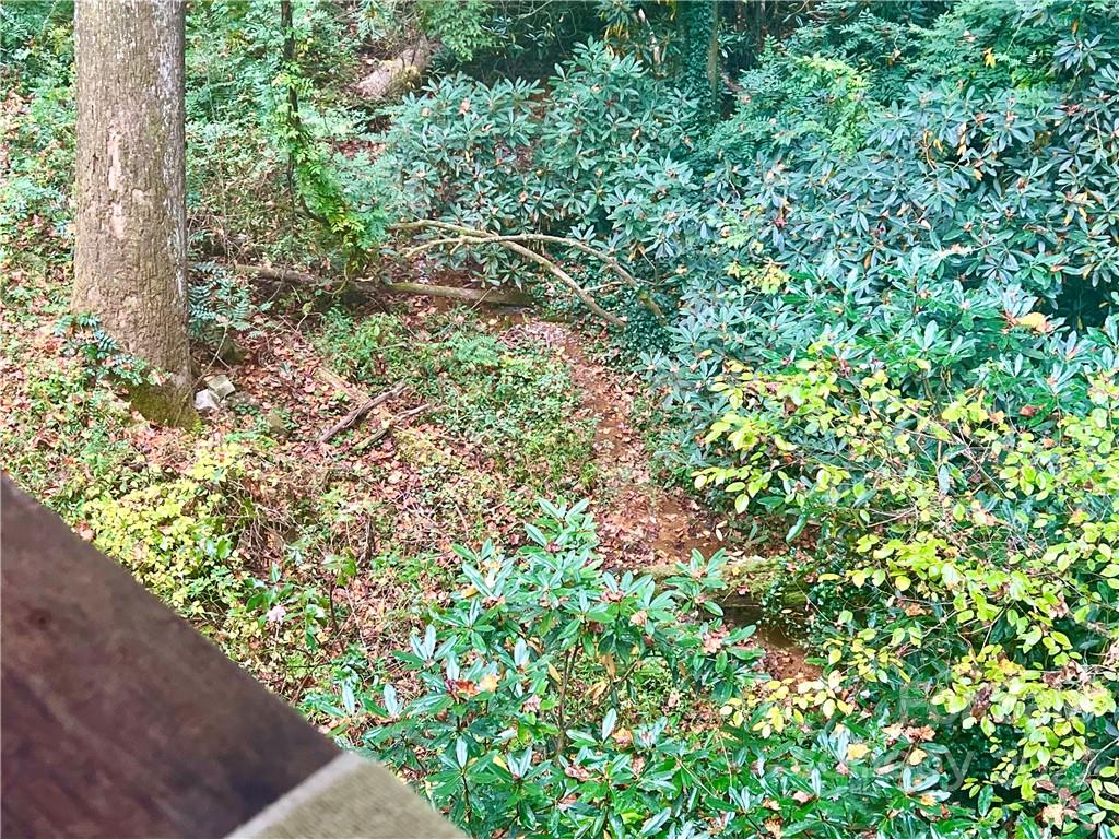 305 Lake Sega Road Brevard, NC 28712 - Photo 36 of 42 Gallery Image 36