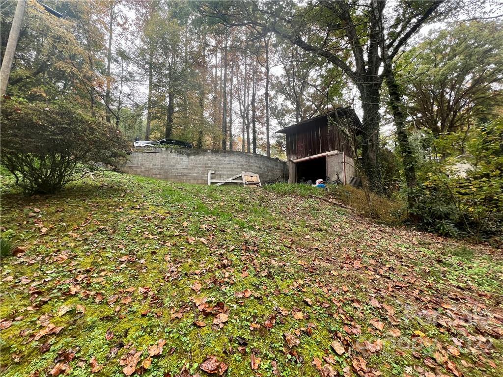 305 Lake Sega Road Brevard, NC 28712 - Photo 4 of 42 Gallery Image 4