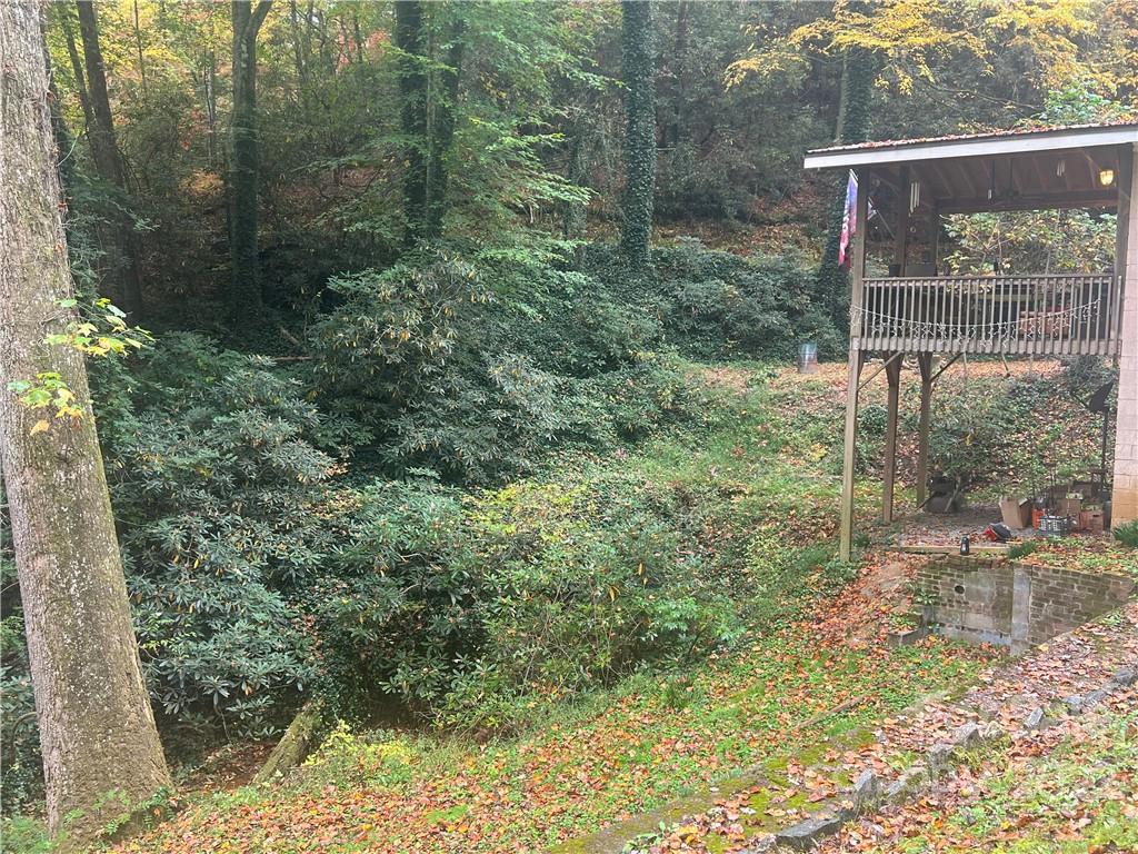 305 Lake Sega Road Brevard, NC 28712 - Photo 6 of 42 Gallery Image 6