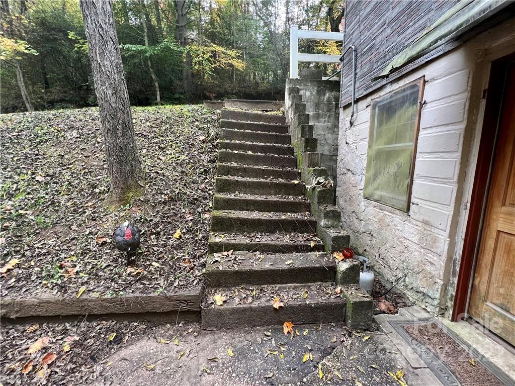 305 Lake Sega Road Brevard, NC 28712 - Photo 9 of 42 Gallery Image 9