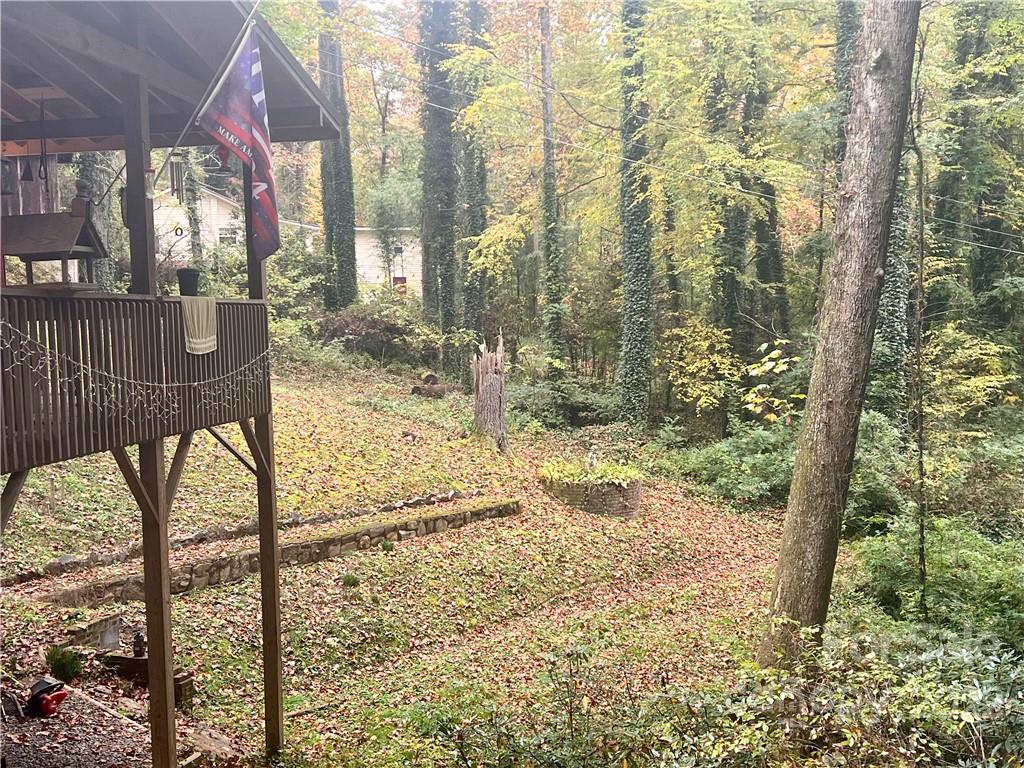 305 Lake Sega Road Brevard, NC 28712 - Photo 10 of 42 Gallery Image 10