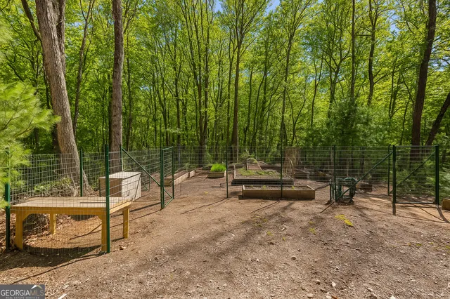 a view of a chairs and table in the backyard