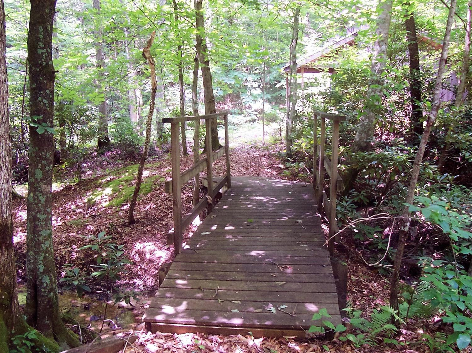 4236 Beech Timber Road Beattyville, KY 41311 - Photo 5 of 76 Photo 5