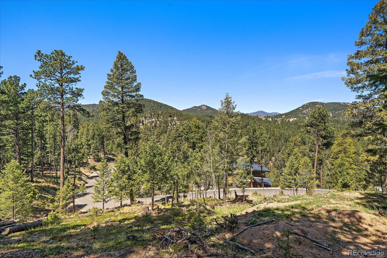 6875 Lynx Lair Road Evergreen, CO 80439 - Photo 8 of 21