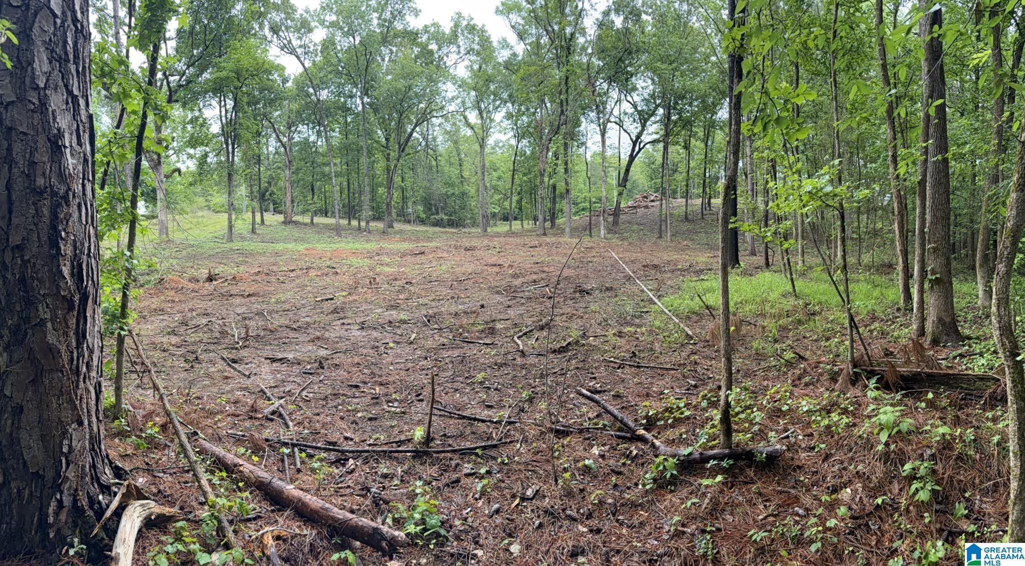 1895 Eureka Road Lincoln, AL 35096 - Photo 2 of 3