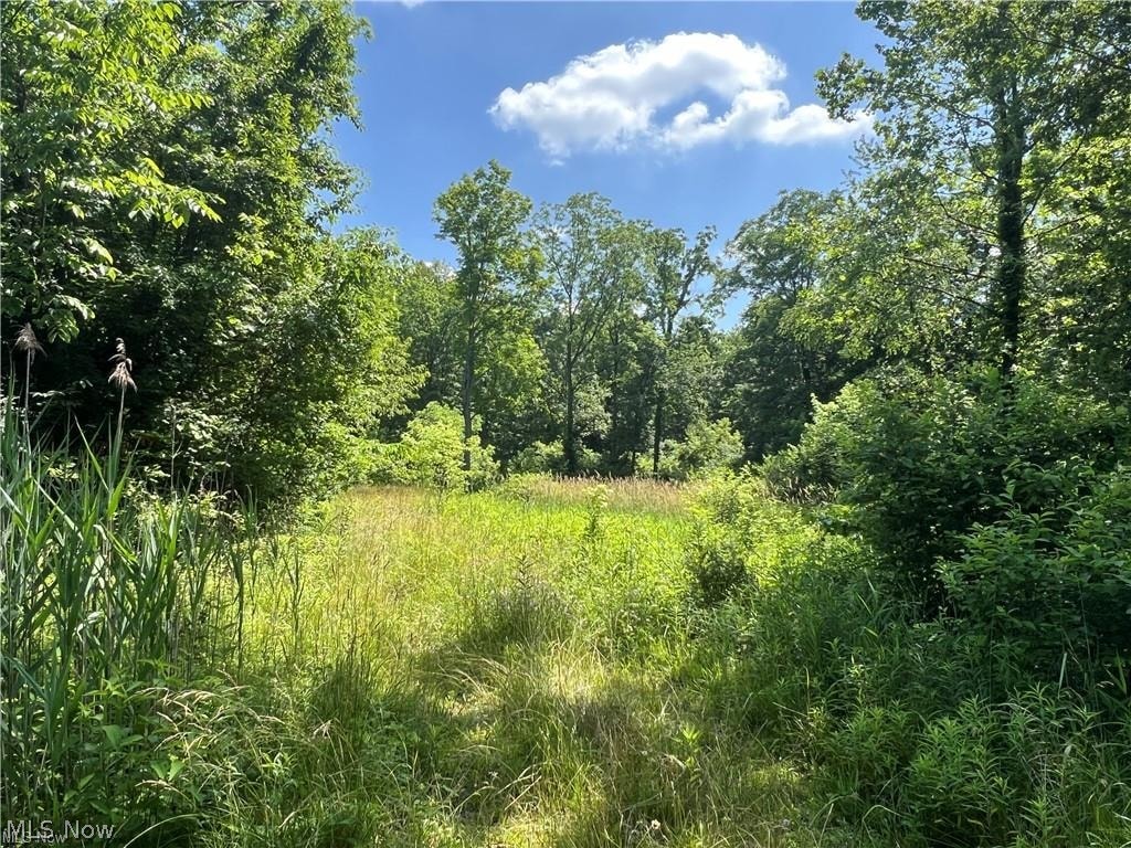21251 Pitts Road Wellington, OH 44090 - Photo 10 of 14 View of tree filled area