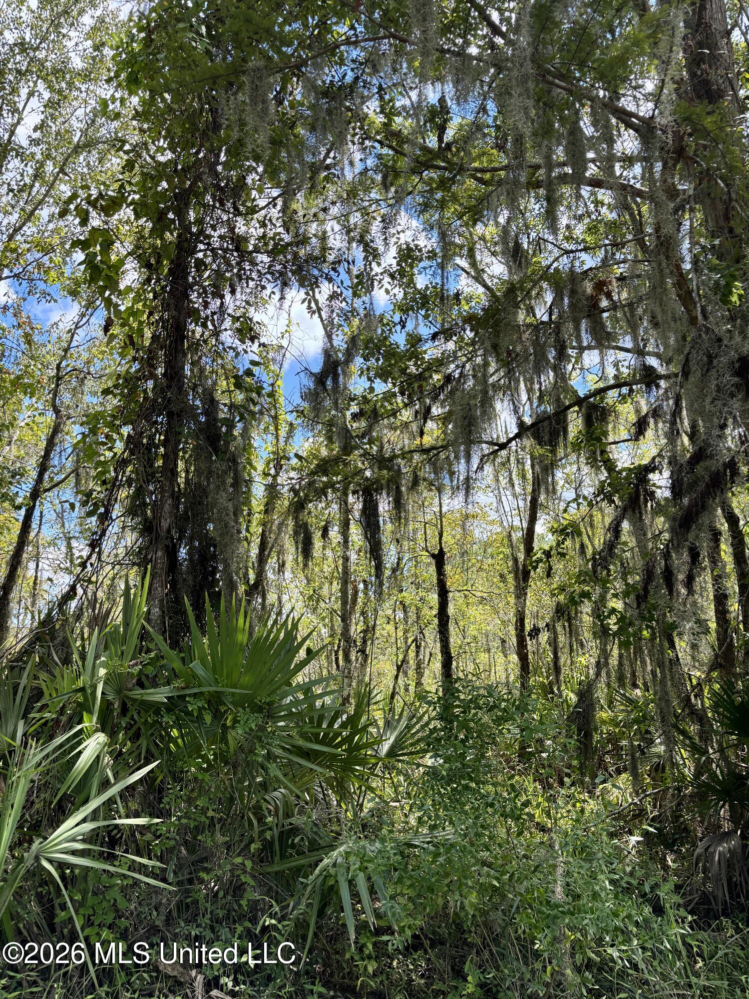 Cochran Avenue Moss Point, MS 39562 - Photo 6 of 8 IMG_8274