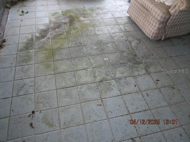 17849 Morninghigh Drive Lutz, FL 33549 - Photo 11 of 15 a bathroom with a shower