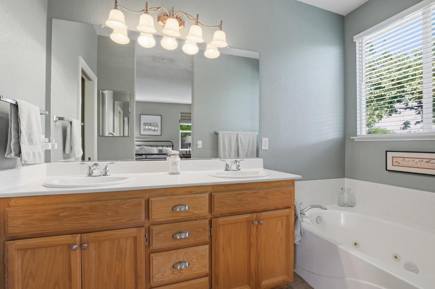 502 Waterfowl Way Williams, CA 95987 - Photo 29 of 51 a bathroom with a sink a large mirror and a bathtub