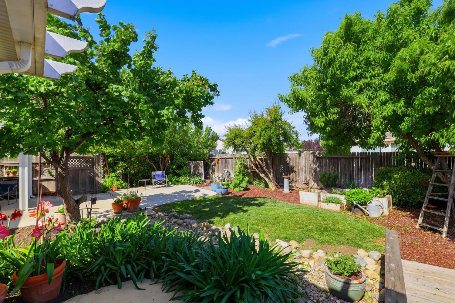 502 Waterfowl Way Williams, CA 95987 - Photo 40 of 51 a view of a backyard with sitting area