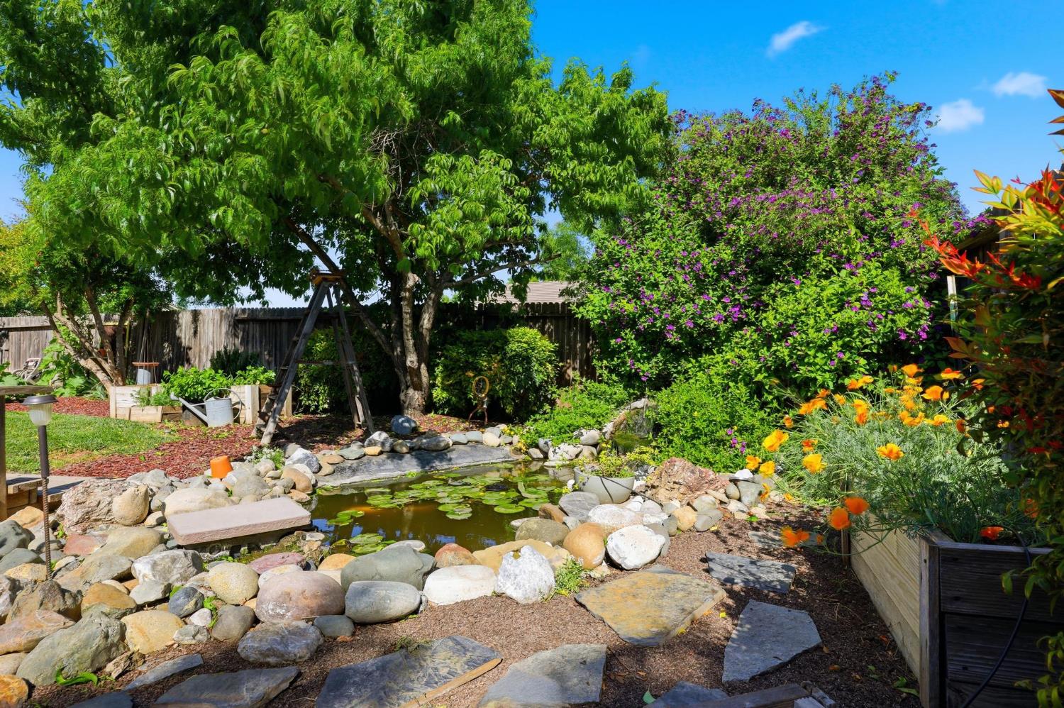 502 Waterfowl Way Williams, CA 95987 - Photo 42 of 51 a view of a fire pit with flower plants